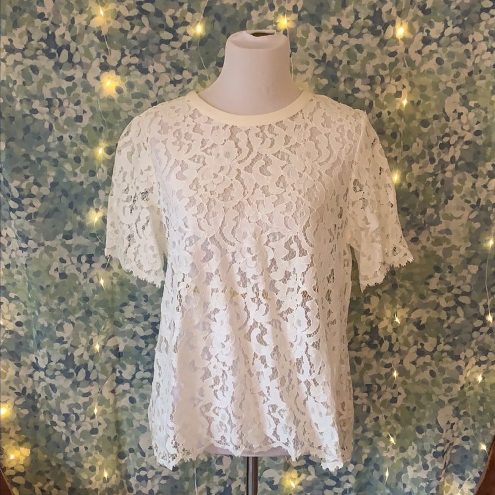 The Limited Lace Top